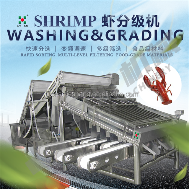 Shrimp classifiers | vibration classifiers | drum classifiers and other types of classifiers, precise classification machines for all kinds of food