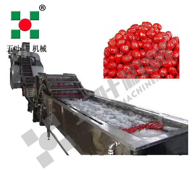 Industrial Continuous High Capacity Fruit Processing Line Manufacturing Fruit Freezing Equipment Fruit Frozen Vegetable Production Line