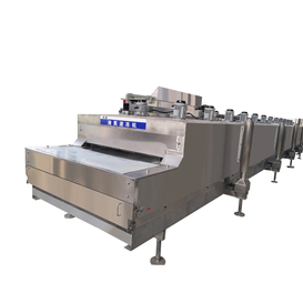 Liquid Nitrogen Tunnel Quick Freezer