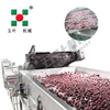 Automatic Continuous Waxberry Frozen Fruit And Vegetable Production Line Fruit Freezing Equipment Fruit Production Line