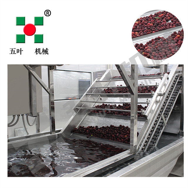 Waxberry/Strawberry and Other Fruits Frozen Production Line on Sale