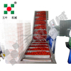 Direct Factory Sales IQF Freezer Production Frozen Strawberries Fruit & Vegetable Processing Machines Line Food Processing Lines