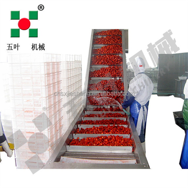 Direct Factory Sales IQF Freezer Production Frozen Strawberries Fruit & Vegetable Processing Machines Line Food Processing Lines