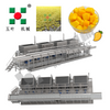 Industrial IQF Freezing Machine for Fruit