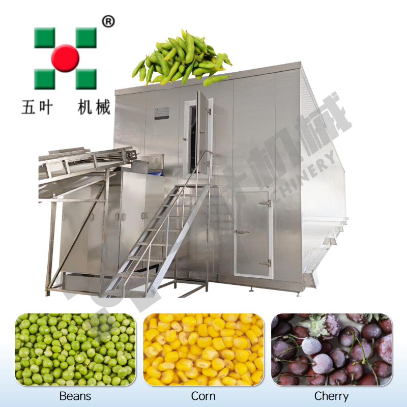 Applications of IQF Freezers in Food Processing