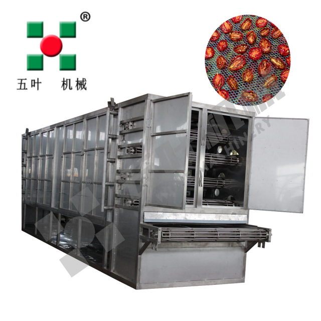 Customized Belt Tomato Dryer For Tomato Drying Equipment