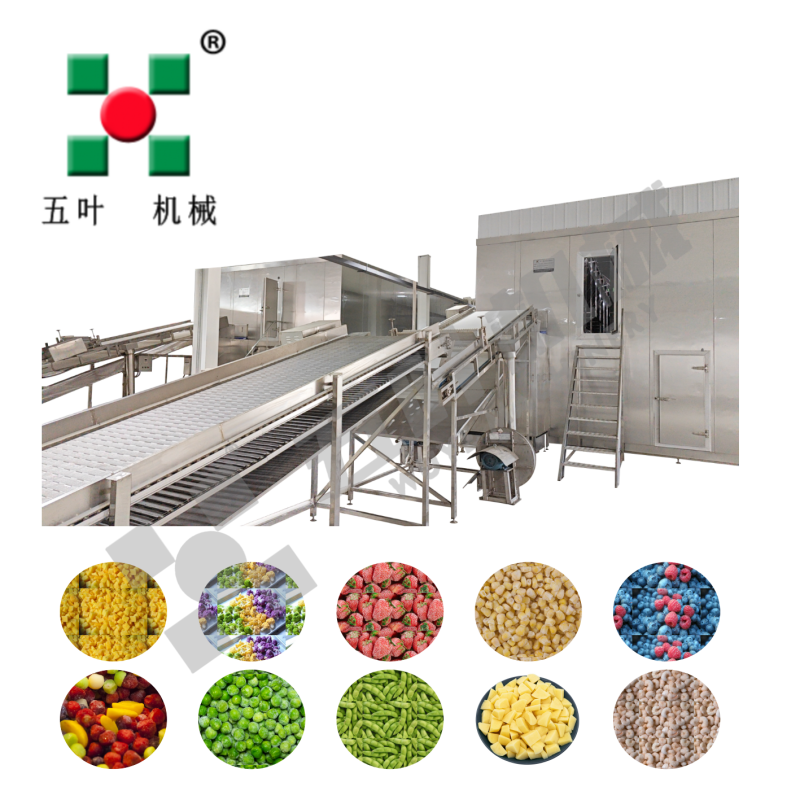 Customized IQF Freezer Bean Product Processing Machinery