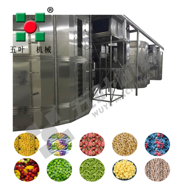 Customized Dryer production line For fruit&vegetable
