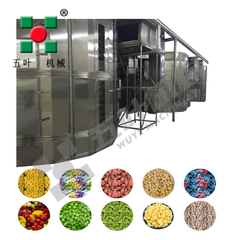 Customized Dryer production line For fruit&vegetable