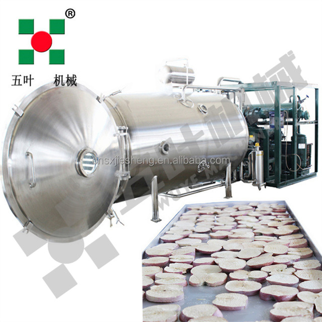 Automatic Food Freeze Drying Machine Fruit and Vegetable Vacuum Dryer/food Freeze Drying Machine