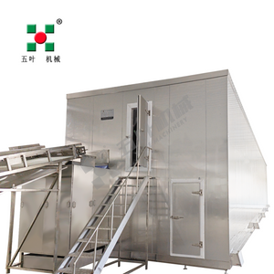 Customized IQF Freezing Equipment for Papaya
