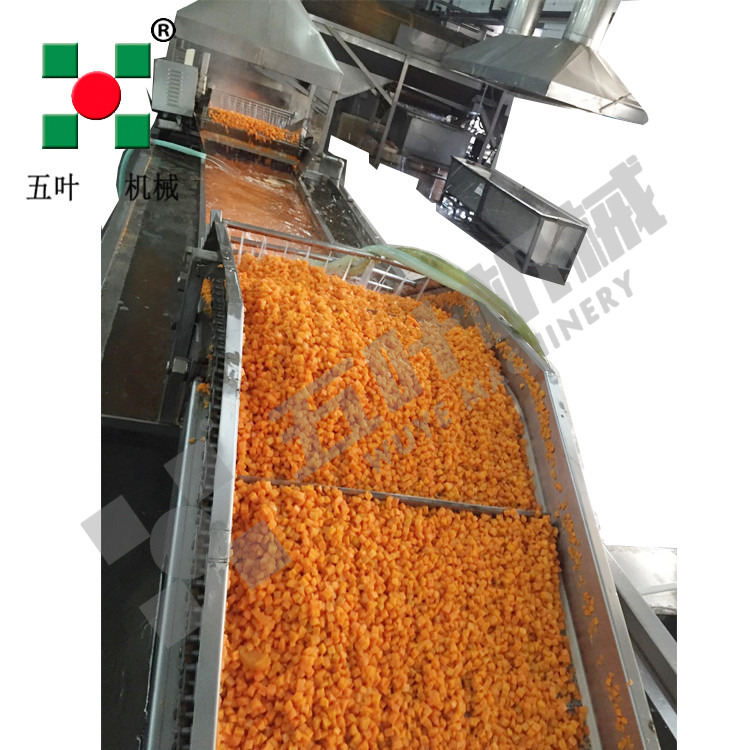 Industrial Continuous High Capacity Fruit Processing Line Manufacturing Fruit Freezing Equipment Fruit Frozen Vegetable Production Line