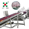 Automatic Continuous Waxberry Frozen Fruit And Vegetable Production Line Fruit Freezing Equipment Fruit Production Line