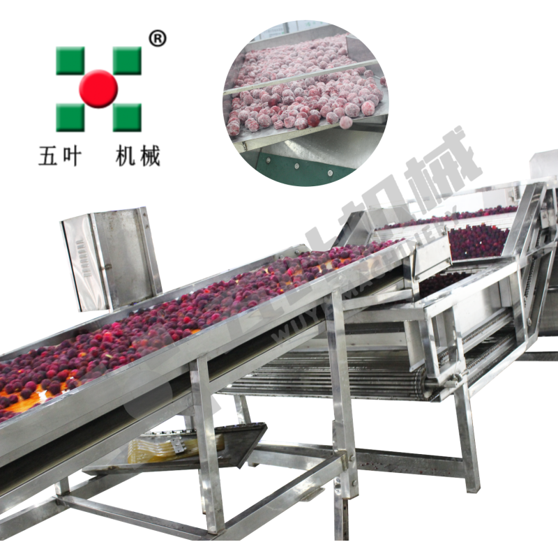 Automatic Continuous Waxberry Frozen Fruit And Vegetable Production Line Fruit Freezing Equipment Fruit Production Line