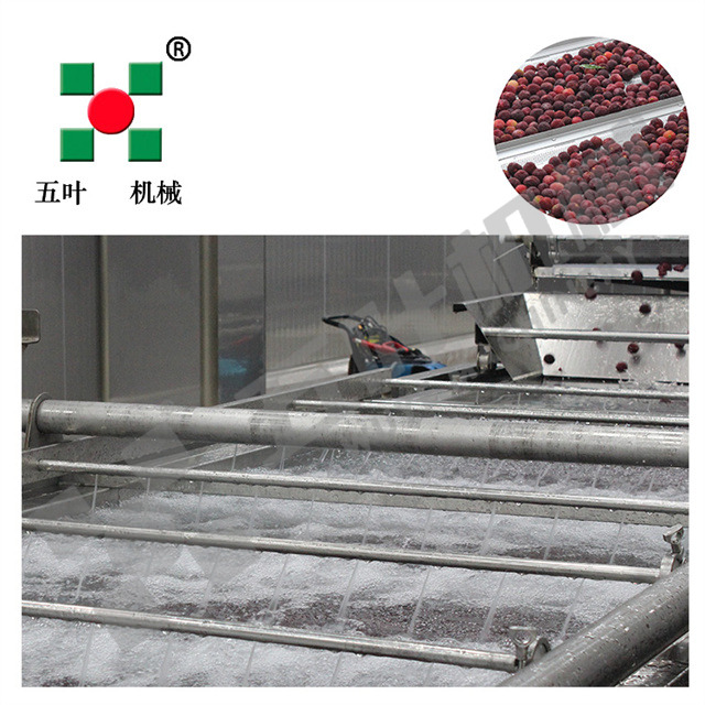 Waxberry/Strawberry and Other Fruits Frozen Production Line on Sale