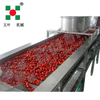 Direct Factory Sales IQF Freezer Production Frozen Strawberries Fruit & Vegetable Processing Machines Line Food Processing Lines