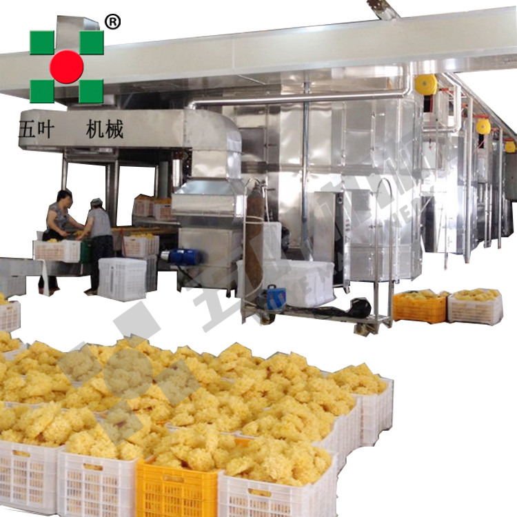 Customized Spiral Fruit Drying Machine For Tremella