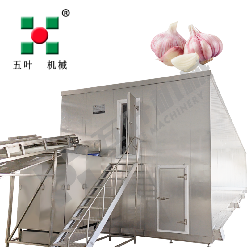 Customized IQF Freezer Bean Product Processing Machinery