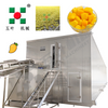 Customized Freezing Equipment Fruit Processing Line For Mango