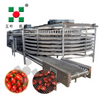 Industrial Fruit Dryer Production Line For Lychee
