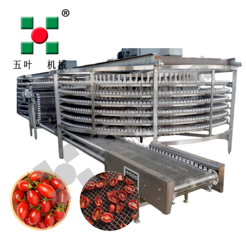 Industrial Fruit Dryer Production Line For Lychee