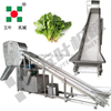 Winnowing Separator for Corn Beans Fruits Food Processing Machine Vegetable Processing Lines Quick Freezing Processing Line