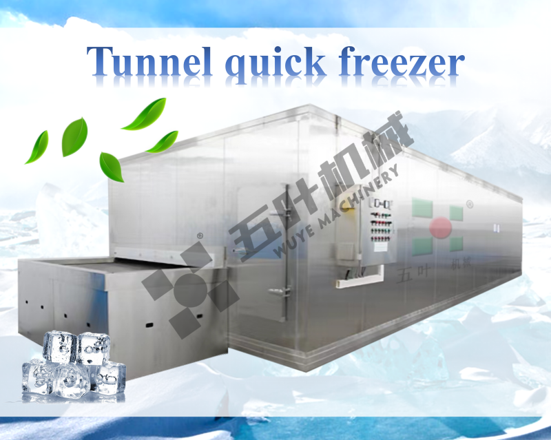 速冻-隧道1