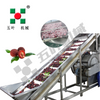 Automatic Continuous Waxberry Frozen Fruit And Vegetable Production Line Fruit Freezing Equipment Fruit Production Line