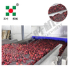 Waxberry/Strawberry and Other Fruits Frozen Production Line on Sale