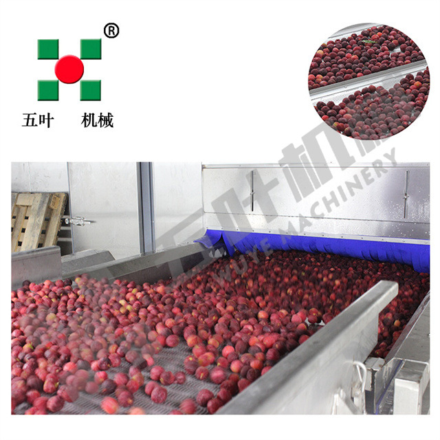 Commercial Freezing Equipment Fruit Processing Line