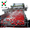 Direct Factory Sales IQF Freezer Production Frozen Strawberries Fruit & Vegetable Processing Machines Line Food Processing Lines