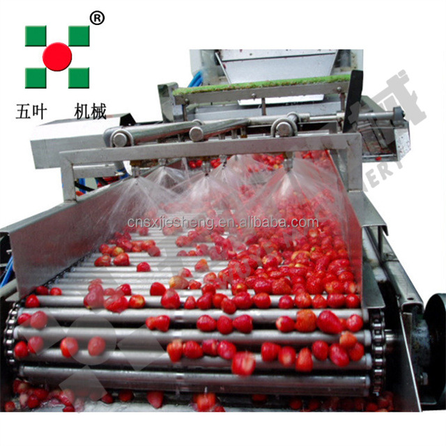 Direct Factory Sales IQF Freezer Production Frozen Strawberries Fruit & Vegetable Processing Machines Line Food Processing Lines