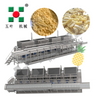 Commercial IQF Freezer Machine For Pineapple Chunks