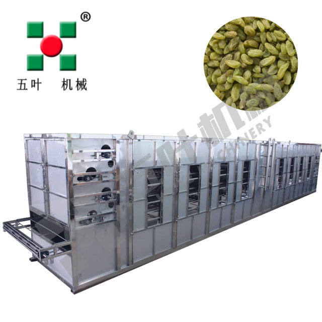 80℃ Belt Fruit Dryer For Raisin Drying Machine