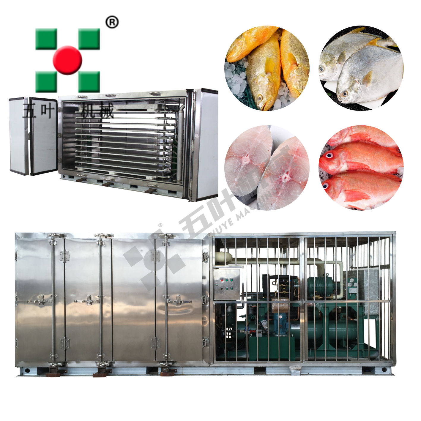 Your Fish Deserve Better Than A Cold Room.