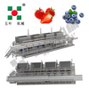 Industrial IQF Freezing Machine for Fruit