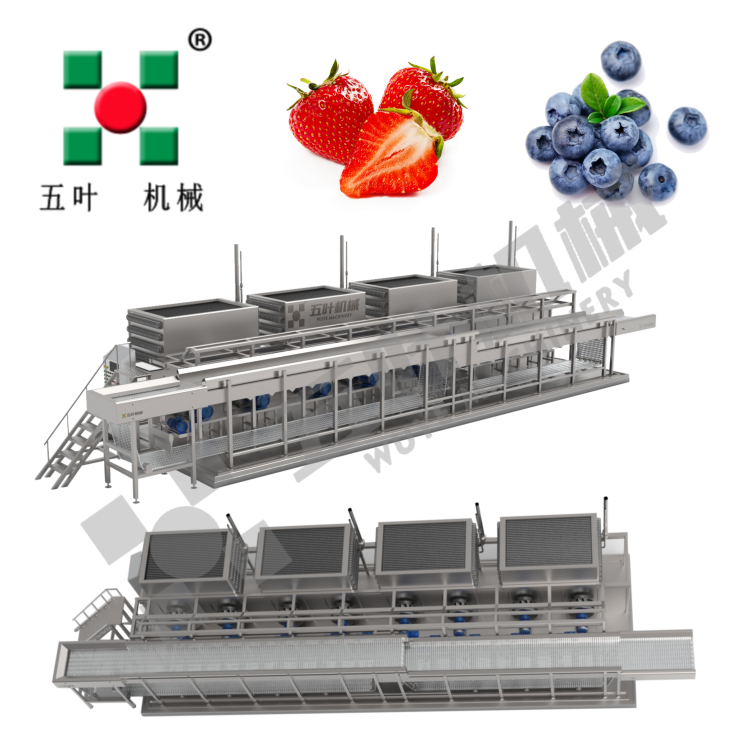 Industrial IQF Freezing Machine for Fruit