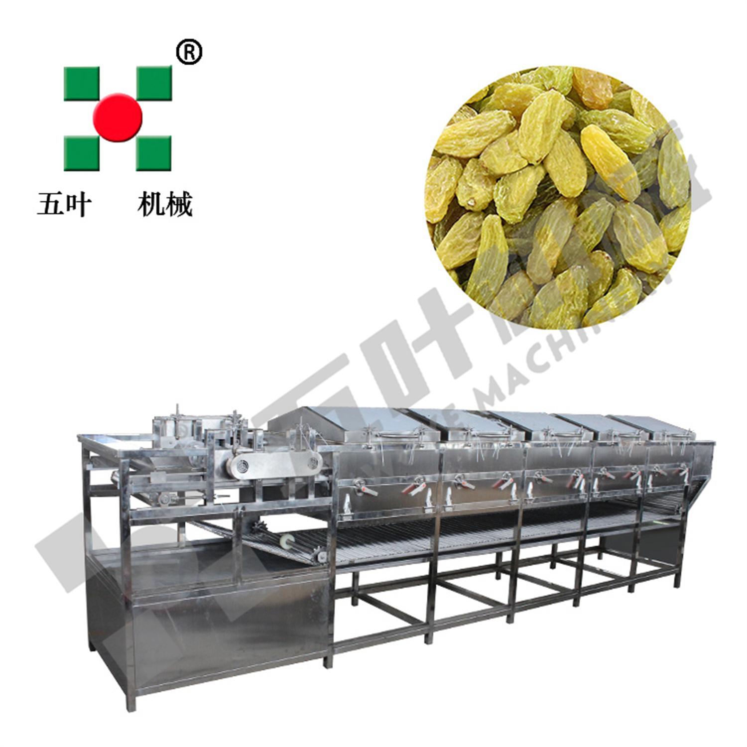 High-Quality Raisin Sterilizer