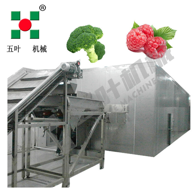 2000kg/h IQF Customized Tunnel Quick Freezer Commercial Quick Freezing Equipment for Food Fish Seafood