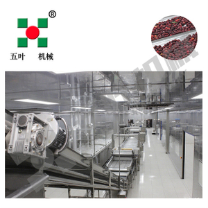 Waxberry/Strawberry and Other Fruits Frozen Production Line on Sale