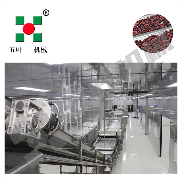 Waxberry/Strawberry and Other Fruits Frozen Production Line on Sale