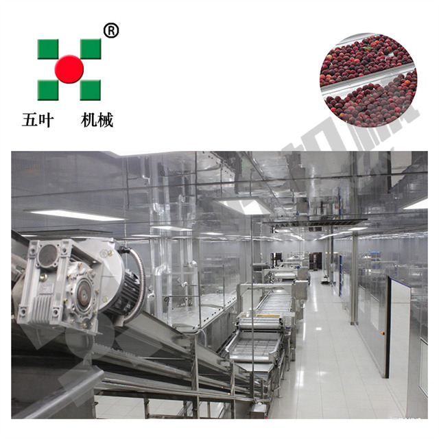 Waxberry/Strawberry and Other Fruits Frozen Production Line on Sale