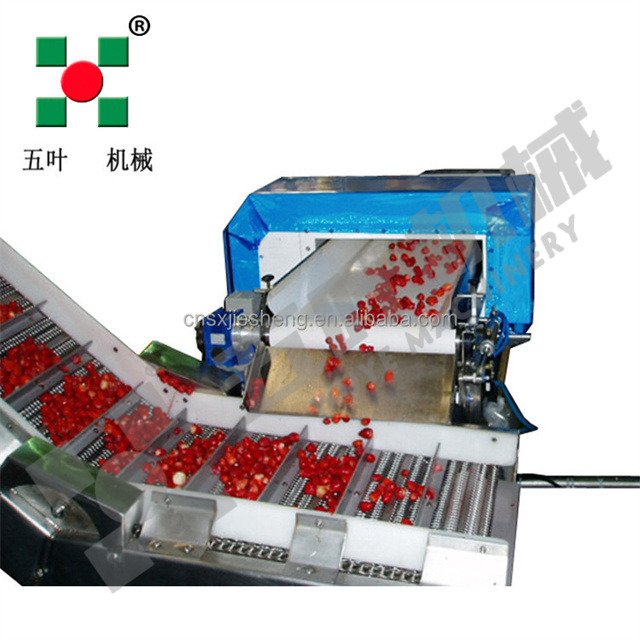 Direct Factory Sales IQF Freezer Production Frozen Strawberries Fruit & Vegetable Processing Machines Line Food Processing Lines