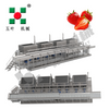 Commercial IQF Freezer Machine for Waxberry