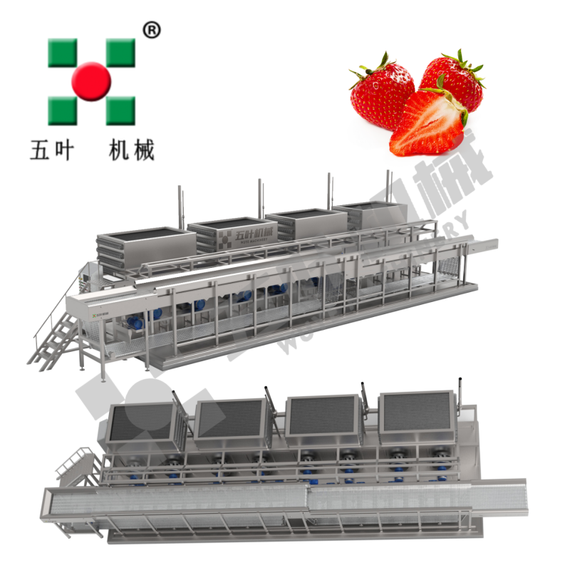 Commercial IQF Freezer Machine for Waxberry