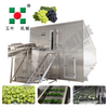 Industrial IQF Freezing Machine for Fruit