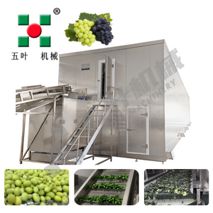 SUS304 IQF Freezer Machine For Grapes