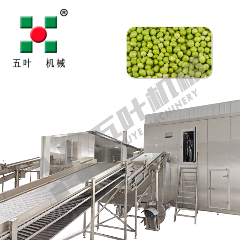 Customized IQF Freezer Bean Product Processing Machinery