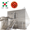 Customized Freezing Equipment Fruit Processing Line For Mango