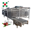 Industrial Fruit Dryer Production Line For Lychee